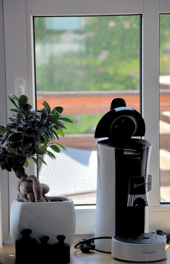 Gemuetliche Dachwohnung Mit Kleiner Oder Grosser Dachterrasse Nebeneinander Wolmirstedt Exteriér fotografie